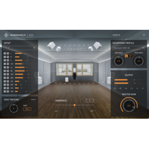 Neumann_RIME_Roomview_Screenshot